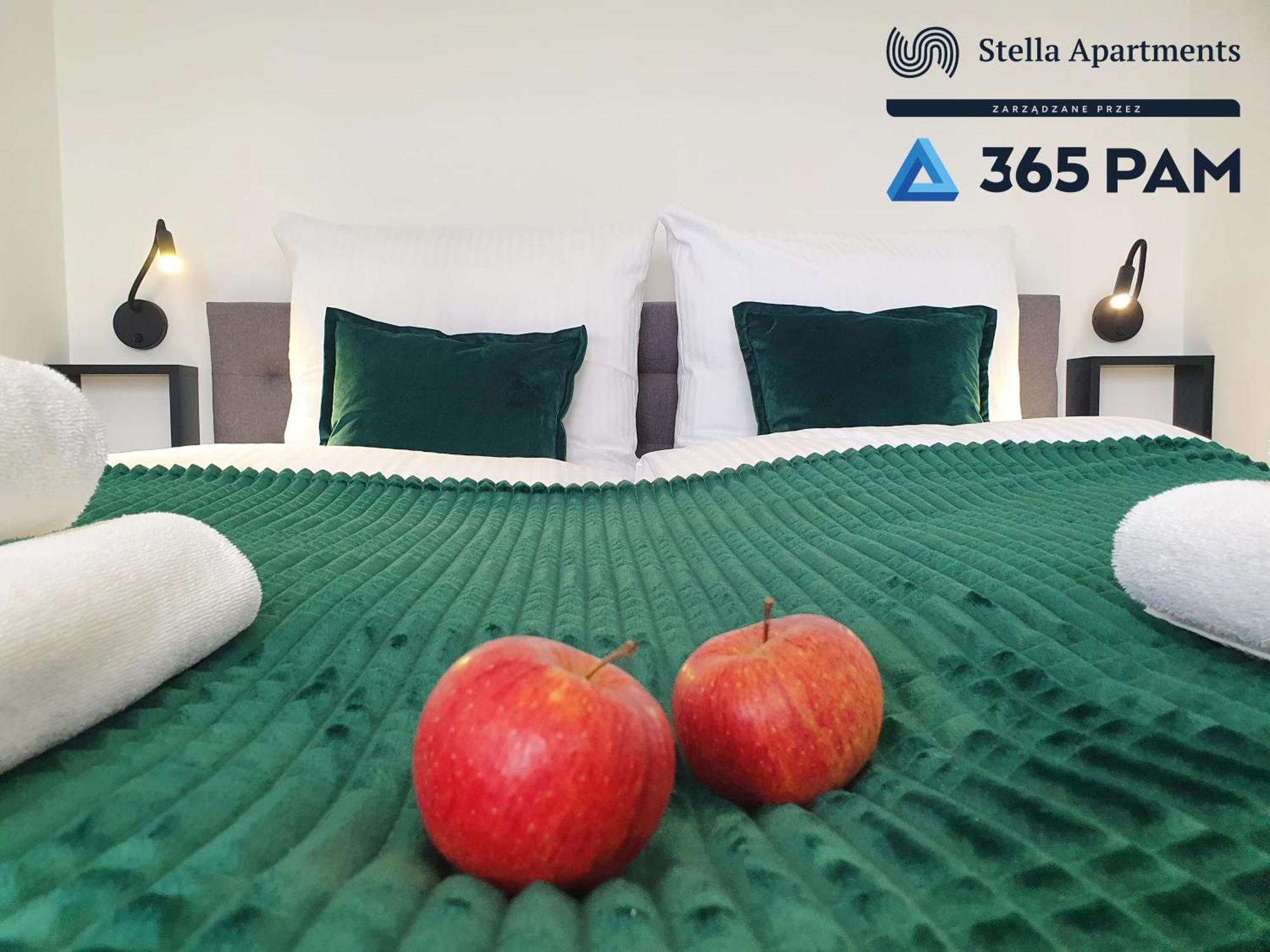 Apartamenty W Gaskach - 365Pam غونسكي المظهر الخارجي الصورة